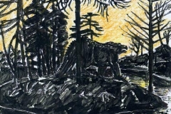 Monster & Monkey Puzzle, Crystal Palace Park (watercolour & ink)